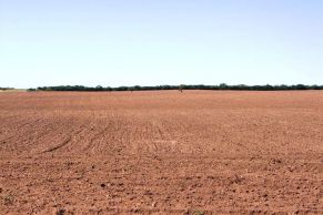 En el Departamento de Toay, Provincia de La Pampa, Sobre Ruta, a 22 km de la Ciudad de Santa Rosa, a 105 km de la Localidad de Catrilo y a 632 km de la Capital Federal.